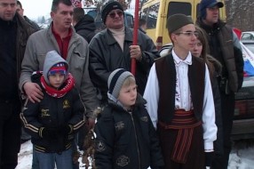 Seča Badnjaka