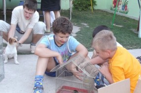 Dečji osmesi u čarobnom dvorištu