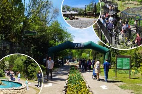 Proteklu godinu u Zoološkom vrtu obeležio veliki broj mladunaca ali i dosta životinja iz prihvatilišta