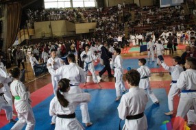18 medalja Karate kluba "Enpi" na Kupu Vojvodine u Vrbasu