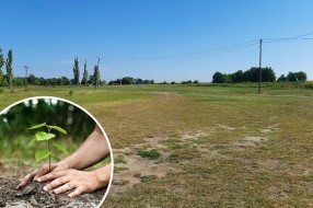 Subotičke kompanije pomažu oplemenjivanje životne sredine na prostoru nekadašnje deponije u Novom Žedniku