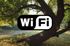 Besplatan internet u Velikom parku na Paliću