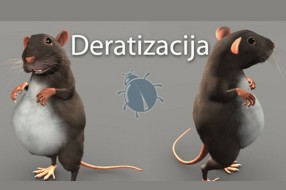 Deratizacija počinje u ponedeljak