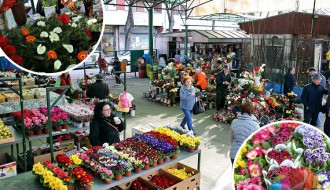 Bogata ponuda cveća na pijacama uoči praznika