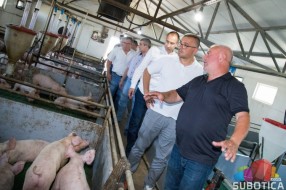 Ministar poljoprivrede Branislav Nedimović posetio gazdinstvo u Bikovu