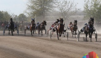 Tradicionalne trke "Dužijanca 2017" 29. i 30. jula na Hipodromu