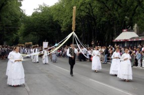 Organizator Dužijance u stečaju