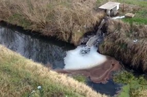 Krivična prijava za ispuštanje toksične vode u reku u Bačkoj Topoli