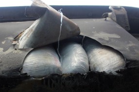 Carinici na Horgošu otkrili preko 15 kilograma marihuane