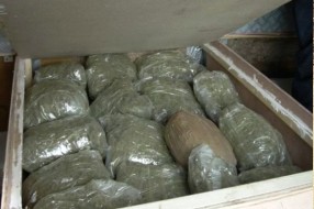 Pronađena marihuana kod Marka H.