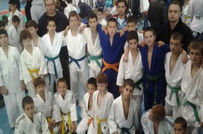 28. Međunarodni džudo turnir "Temerin 2012"