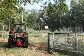 Rešena pištaljka! - Sređivanje sportskog terena na Paliću