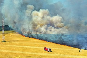 Strnjika gorela na oko 20 parcela u Subotici, počinioci nepoznati