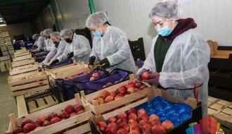 Voćari iz Tavankuta predočili svoje probleme funkcionerima