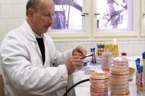 Hrana u Subotici dobrog kvaliteta
