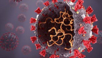 Delta soj daje drugačije simptome, vakcine efikasne i protiv otkrivenih sojeva