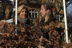 Omladina DSS-a delila badnjake građanima