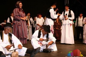 Dužijanca 2013: Polaganje venaca, Skupština risara i folklor