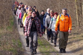 Pešačenje oko jezera Palić u sklopu obeležavanja Svetskog dana voda