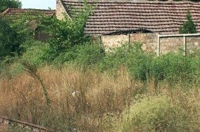 Sezona alergija još nije završena