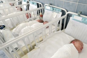 Subotica potencijalni centar za vantelesnu oplodnju