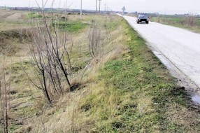 Novi vetrozaštitni pojasevi u planu