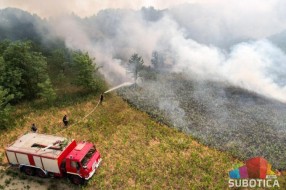 Veliki požar u Radanovačkoj šumi, borba sa vatrenom stihijom trajala više od 5 časova