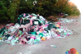 Kelebijska šuma u rukama (ne)odgovornih građana