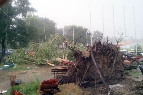 Jako nevreme na Paliću čupalo drveće i prevrtalo plovila