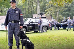 Novi ilegalci prešli srpsko-mađarsku granicu