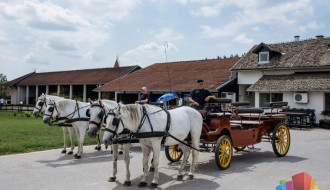„Open night“ u subotu na ergeli "Kelebija"