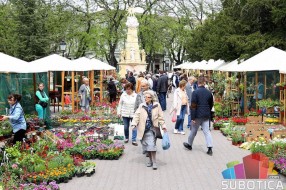 U četvrtak počinje prolećni vašar cveća "Garden flora"