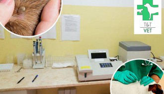 Zaštite vašeg ljubimca od komaraca i krpelja na vreme