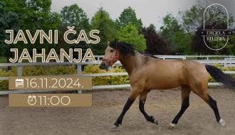 Javna škola jahanja na Ergeli Kelebija