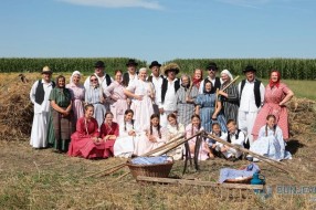 Miris zrelog žita i zvuk kose: Tradicionalni ris okupio čuvare bunjevačke baštine