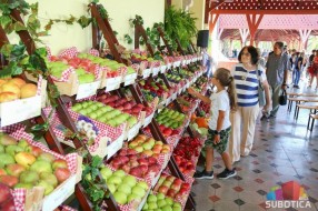 Palić u znaku „Berbanskih dana“