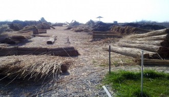 Direktorov inat platiće narod