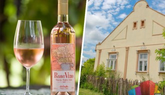 Vinarija "Majkin salaš" - poslastica za sve ljubitelje vina