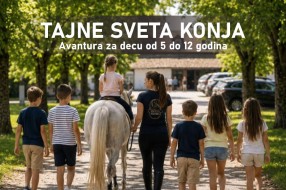 "Tajne sveta konja" - Nezaboravna avantura za decu na Ergeli Kelebija