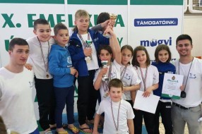 Trinaest medalja plivača Spartak-Prozivke na IV Kupu bratskih gradova Sombor-Baja