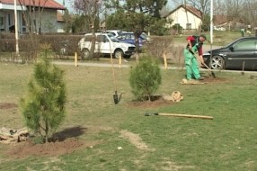 Uređuje se park u Peščari