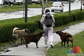Podneta krivična prijava protiv vlasnika pasa koji su povredili decu