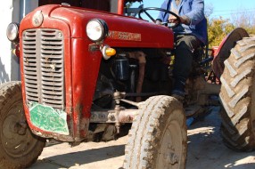 Mali poljoprivredni proizvođači u problemu zbog osiguranja