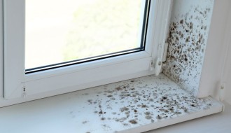 Buđ, vlaga i kondenz – skriveni neprijatelji doma i kako ih zauvek ukloniti