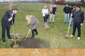 Mladenački i dečji šumarak na salašu Đorđević