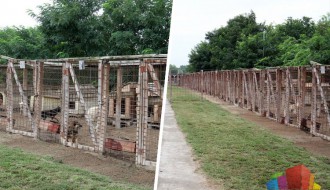 Prihvatilište za pse počinje sa radom tokom aprila