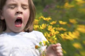 30 odsto Subotičana alergično