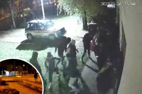 Privedeno više osoba za koje se sumnja da imaju veze sa sinoćnjom pucnjavom na području Horgoša