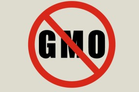 Deklaracija Subotica bez GMO neće se naći pred odbornicima