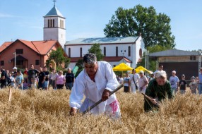 Najbolji risari pokazali umeće i sačuvali tradiciju na 59. Takmičenju risara u Đurđinu